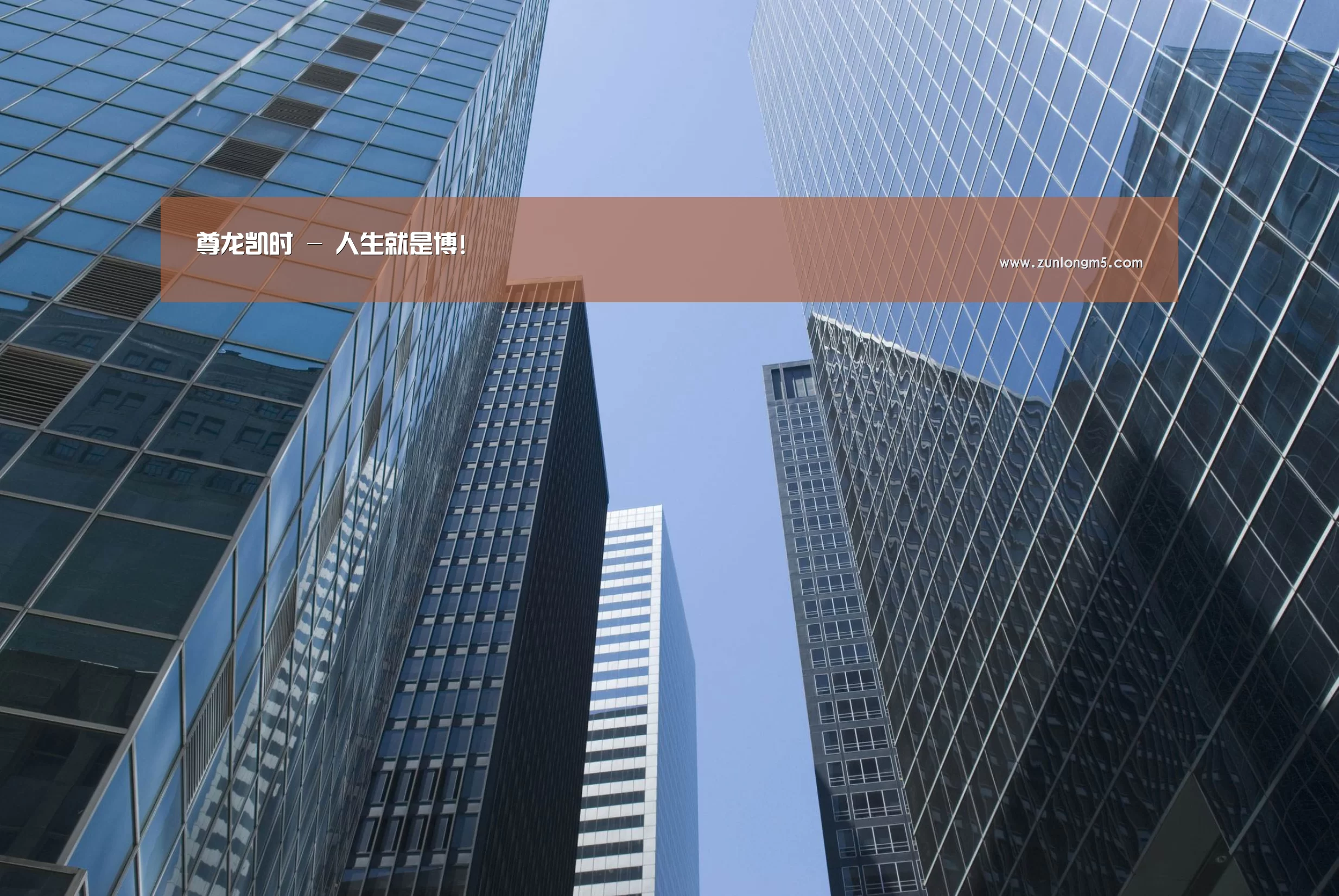 尊龙凯时公司简介 
