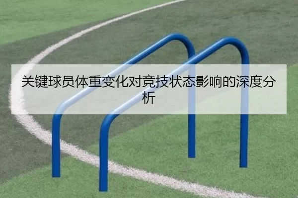 关键球员体重变化对竞技状态影响的深度分析