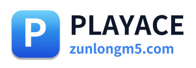 PLAYACE
